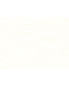 SOFT WHITE MUSEUM