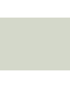 WILLOW GREEN CONSERVATION