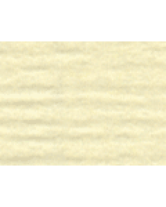 ANTIQUE IVORY CONSERVATION